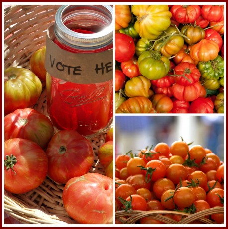 Tomato Collage 2